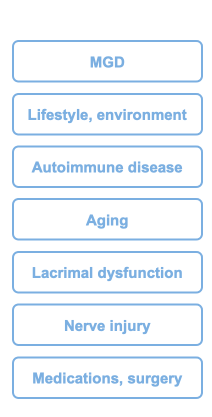 Diagram showing evaporative and aqueous-deficient DED leading to loss of homeostasis